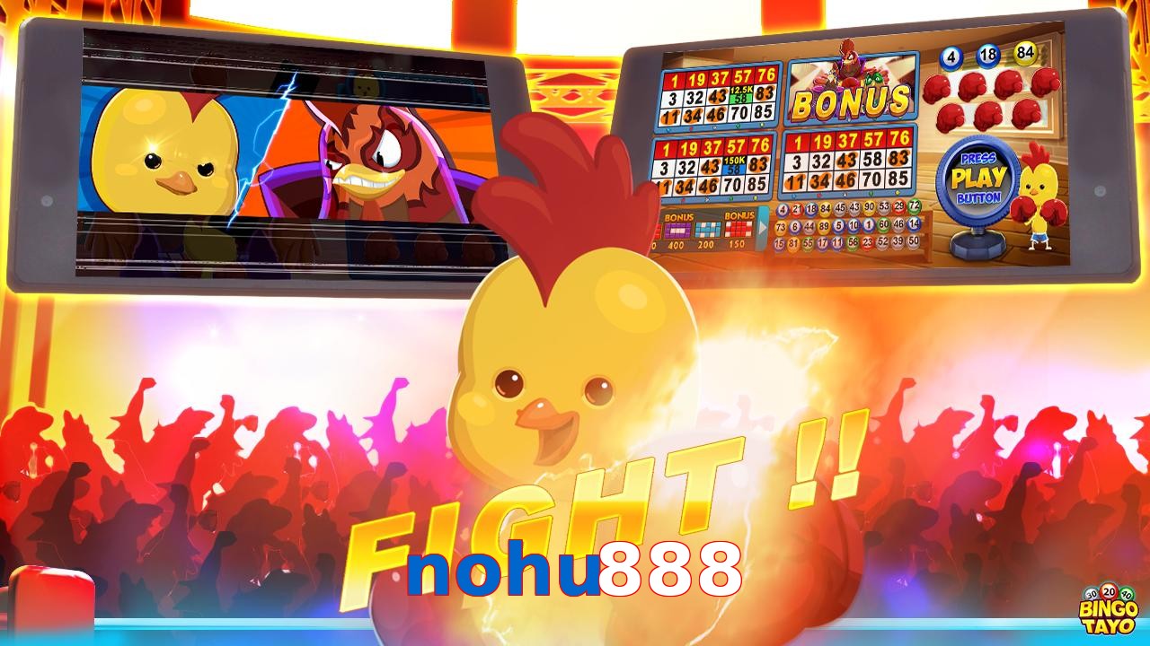 nohu888